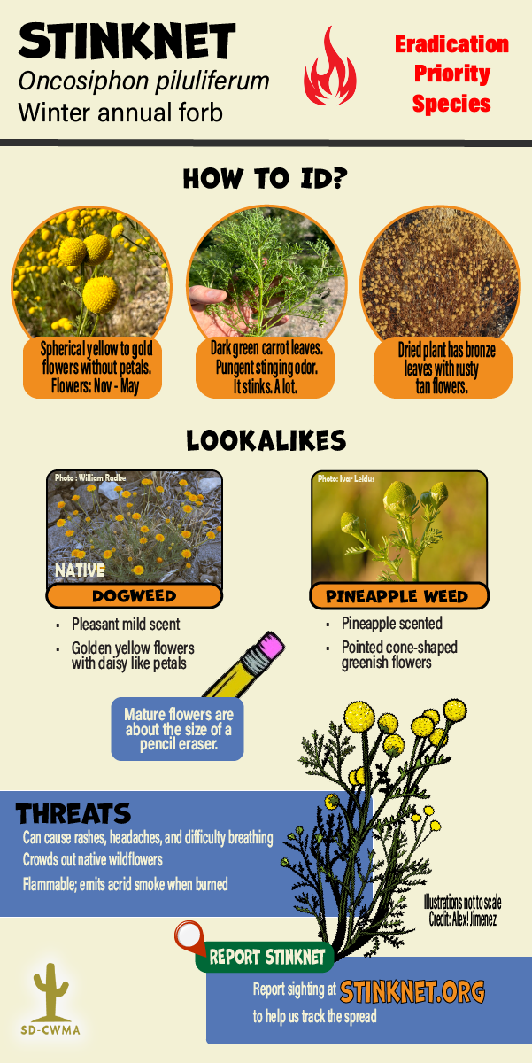 Graphic for how to ID stinknet.