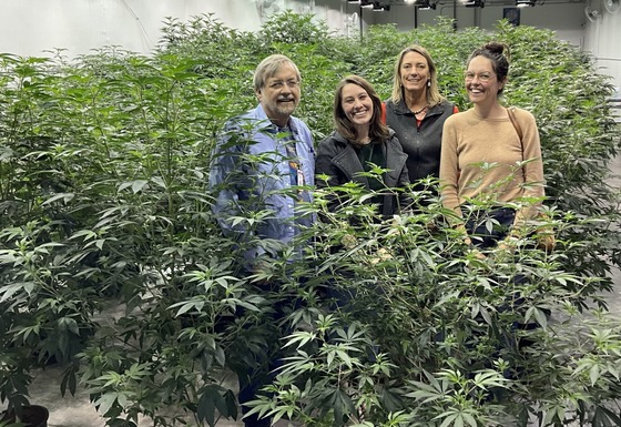 photo of the Ward 3 team surrounded by cannabis plants at the Prime Leaf growing facility.