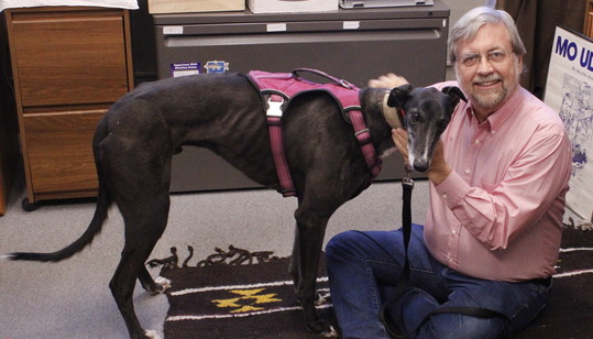 Photo of Vice Mayor Kevin Dahl and a rescue Greyhound from Australia by the name of Rocky.