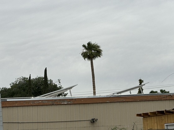 Photo of the solar panels on the roof of the Drawing Studio.