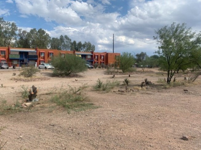 Photo of Trees cut Down in Navajo Wash.