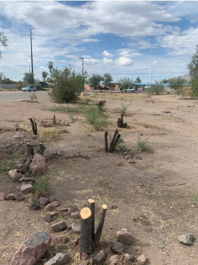 Photo of more trees cut down at Navajo Wash.