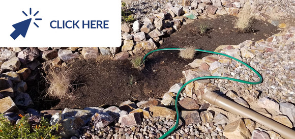 June 2024 Conservation Tip