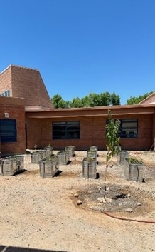 Image of container garden on the school grounds.  