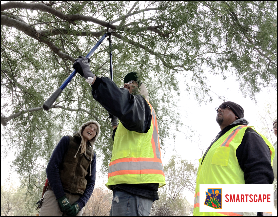 Emma guides SmartScape participants through proper pruning technique.