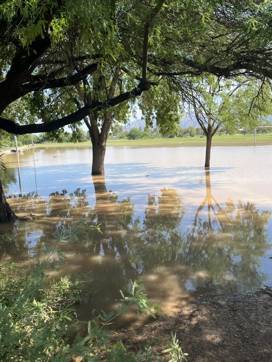 Photo of flooding at Mansfield Park.