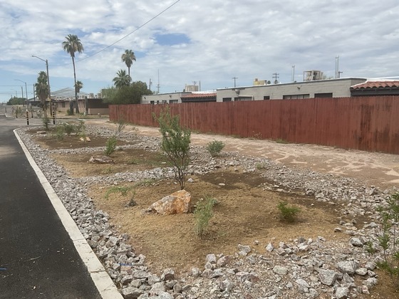 photo of Newly installed green infrastructure (passive rain water capture with vegetation) in Ward 3 at 11th ave and Flores.