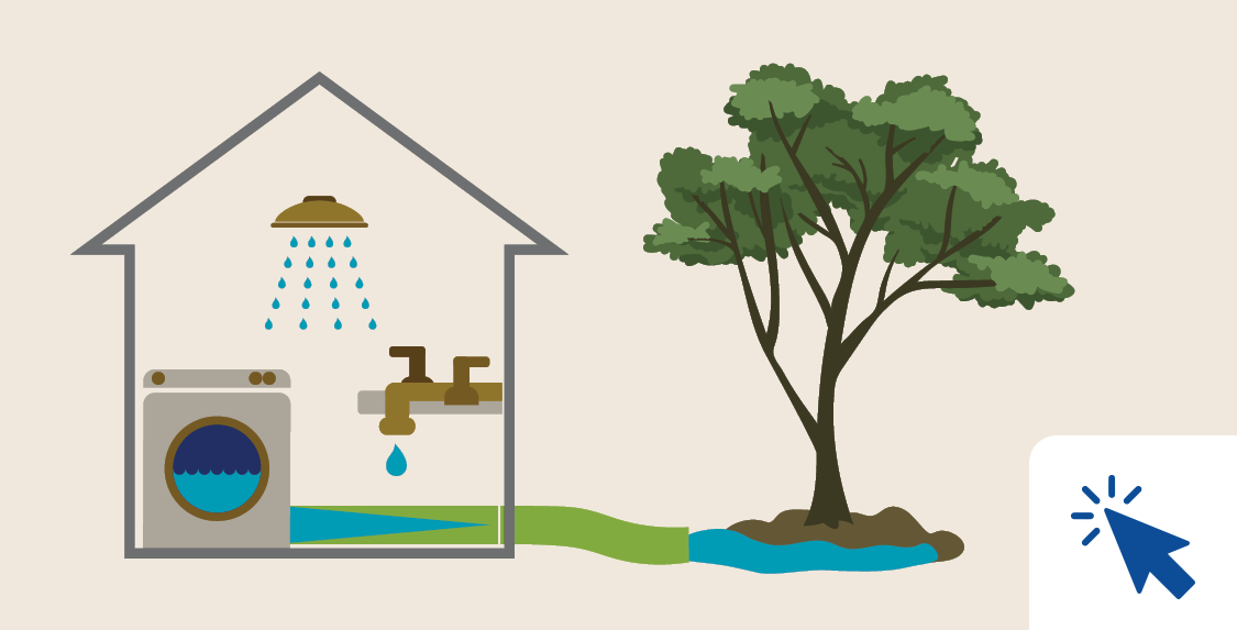 August 24 conservation tip