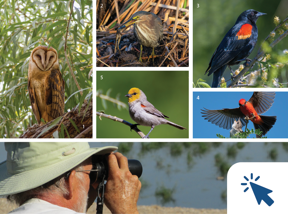 August 24 lead story