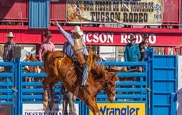 Image of a Tucson Rodeo bucking bronco rider.
