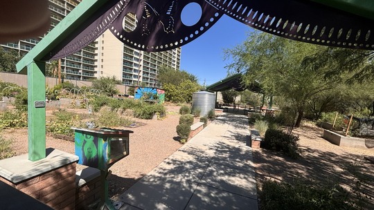Photo of the Community Garden at the foot of the Tucson House.