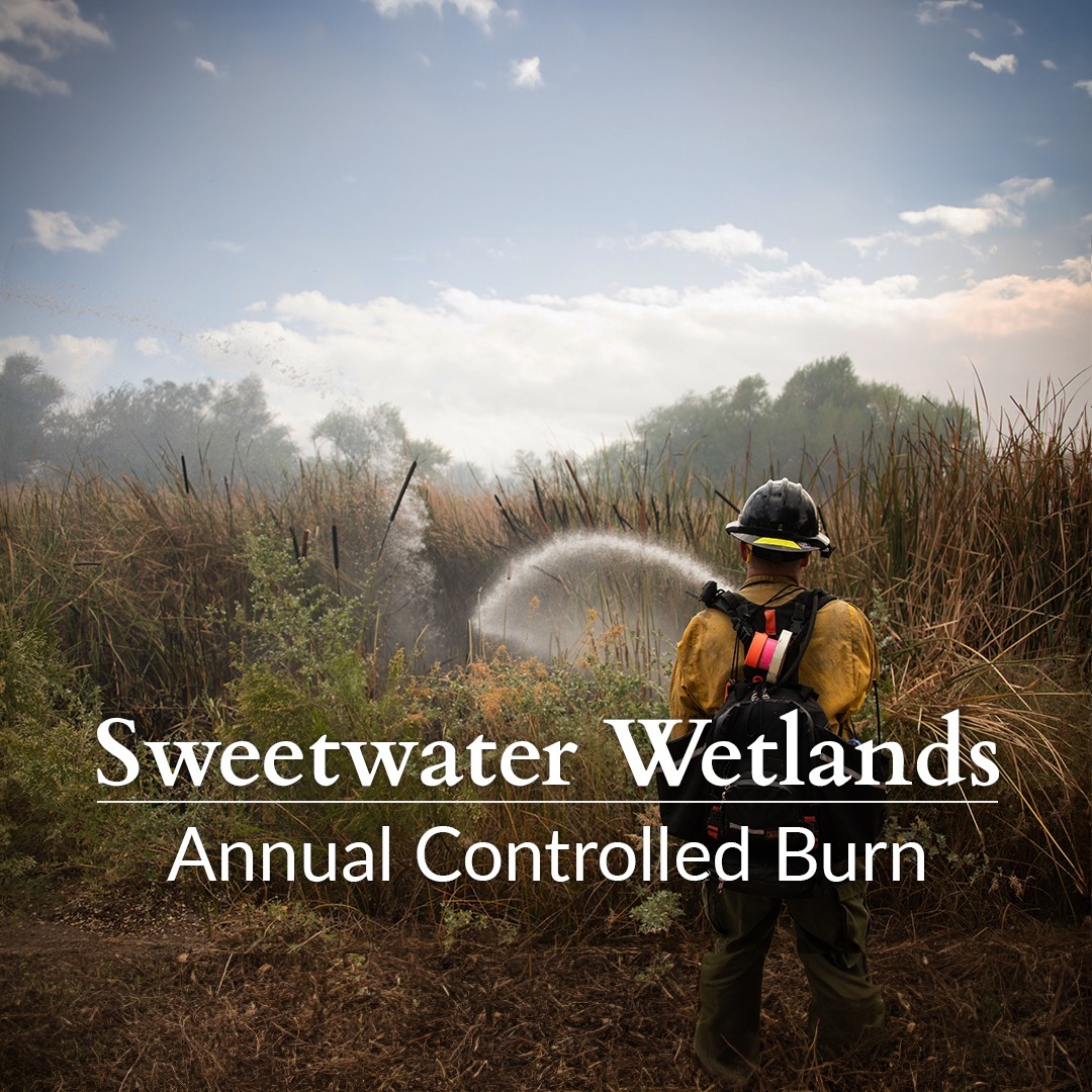 Image for the controlled burn at the Sweetwater wetlands