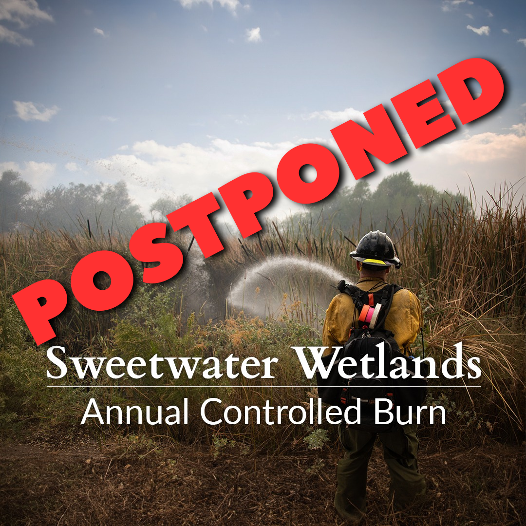 Graphic for postponed controlled burn at Sweetwater Wetlands