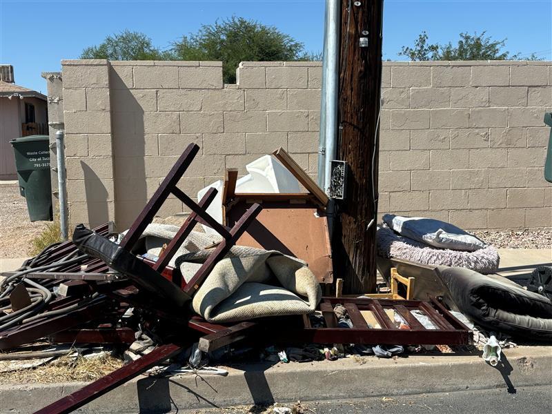 Photo of Brush and Bulky Material on the side of the road.