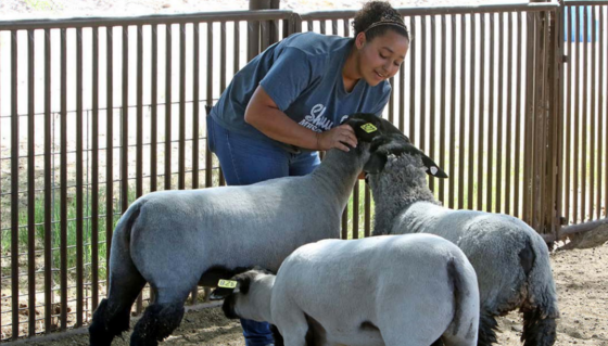 Photo of a JTED participant 