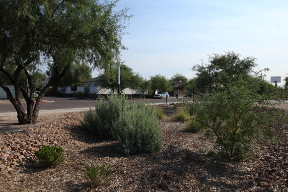 Photo of gravel-lined water detention basin