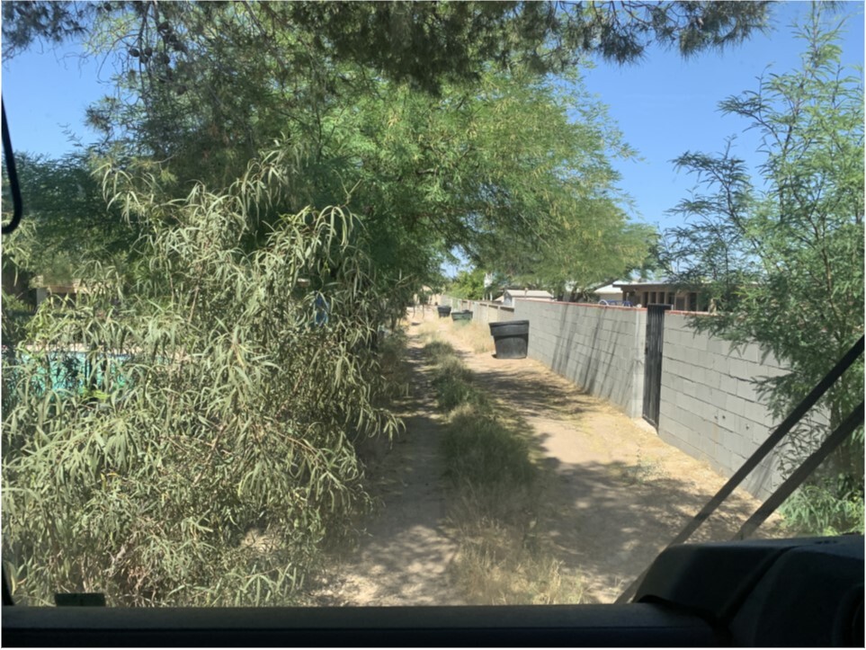Photo of Trees blocking an alley, where garbage trucks have difficulty getting through safely.