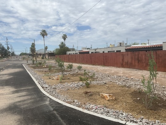 Photo of Rain garden looking south at 11th and Flores.