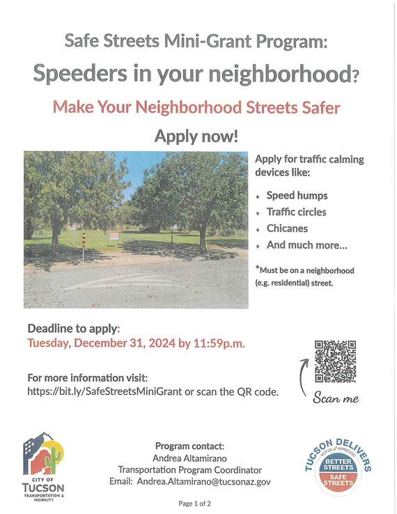 Safe Streets Mini Grant Flyer
