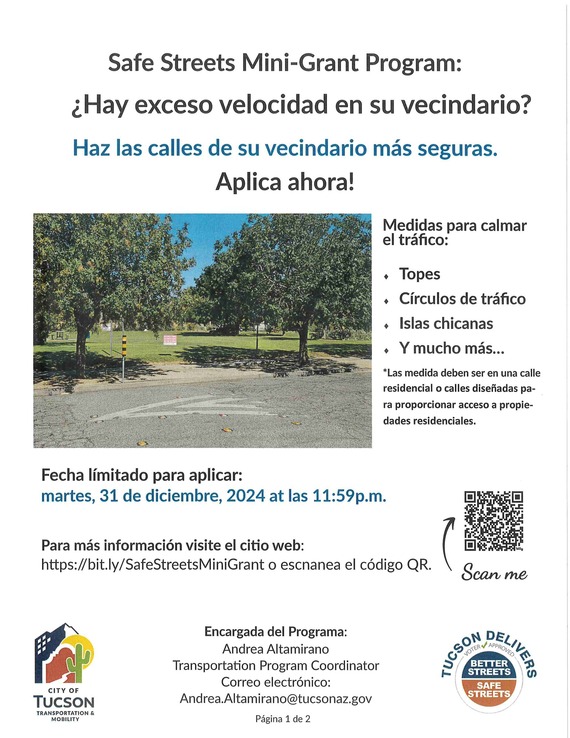 Safe Streets Mini Grant Flyer Spanish