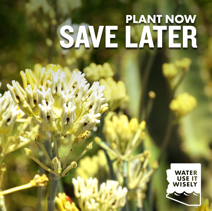 Plants with "Save Later" text