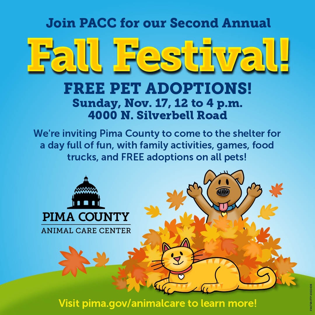 Flyer for PACC fall Festivel