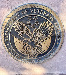 VA Logo
