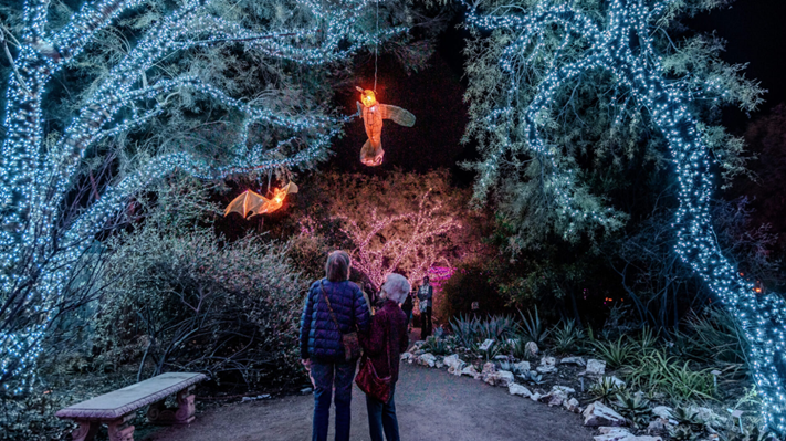 Lights in trees and two people standing underneath looking up into them