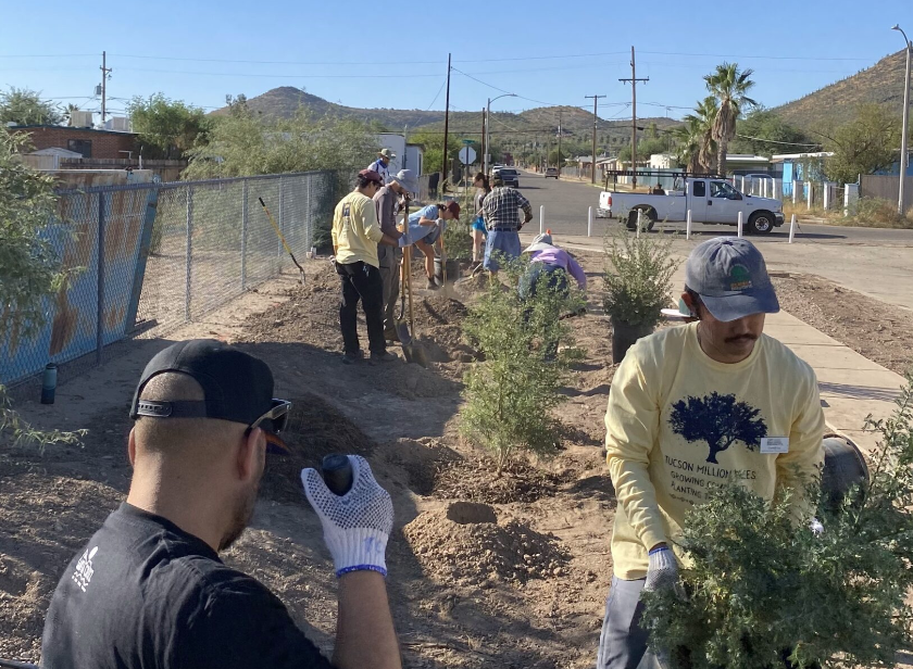 Picture of people planting