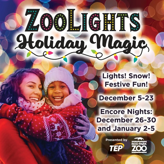 Zoo Lights Graphic