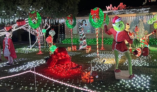 Winterhaven festival of lights photo