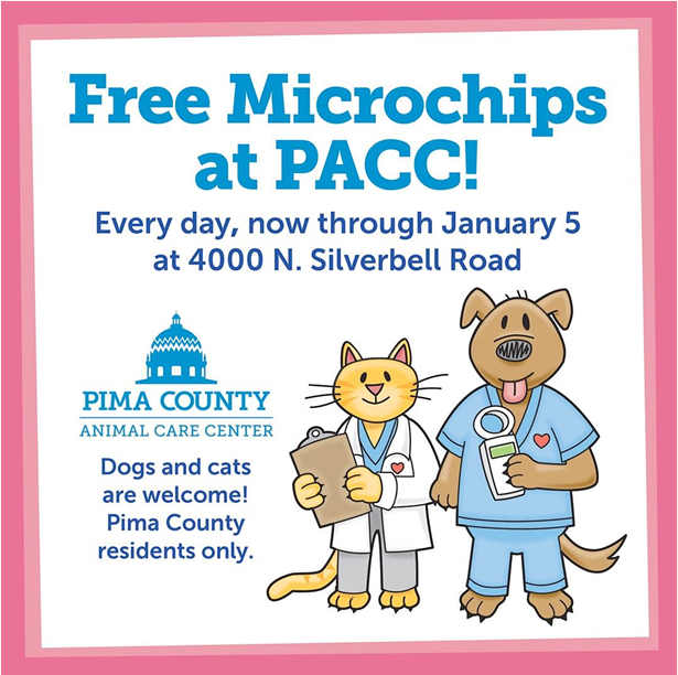 Cartoon picture of a dog and cat wearing stethoscopes