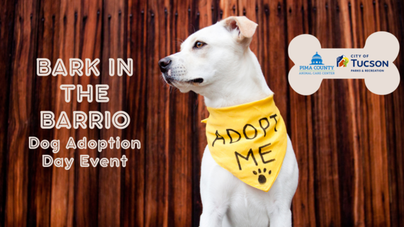 Bark in the Barrio Banner 