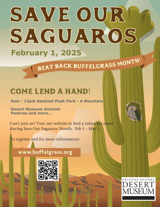 Save our Saguaros Graphic