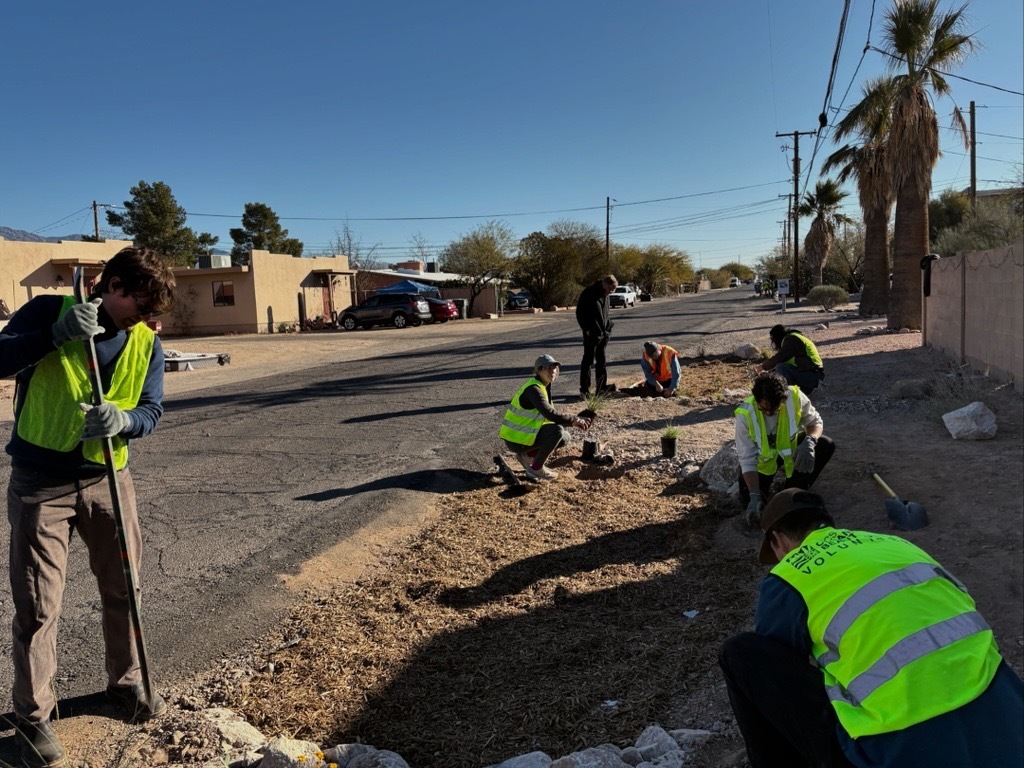 Photo of Volunteers planting native shrubs and flowers on the south side of E. Halcyon Rd. 