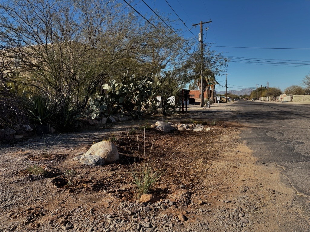 Photo of A freshly installed basin after adjacent residents watered the new plants.