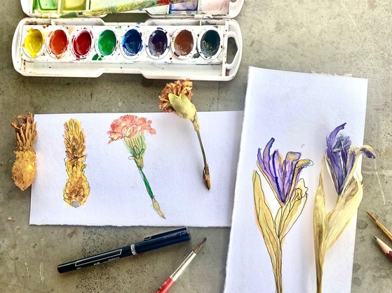 Art of Spring immersion camp Graphic