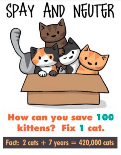Cartoon Flyer with joke about Spaying your cats
