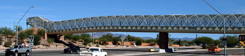 Snake Bridge Art Repair Project 
