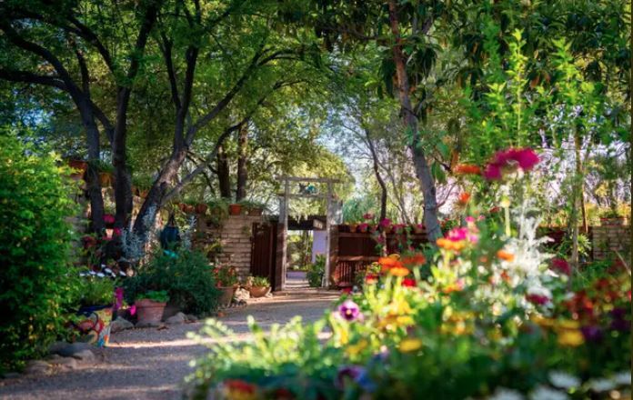 Tucson Botanical Gardens 