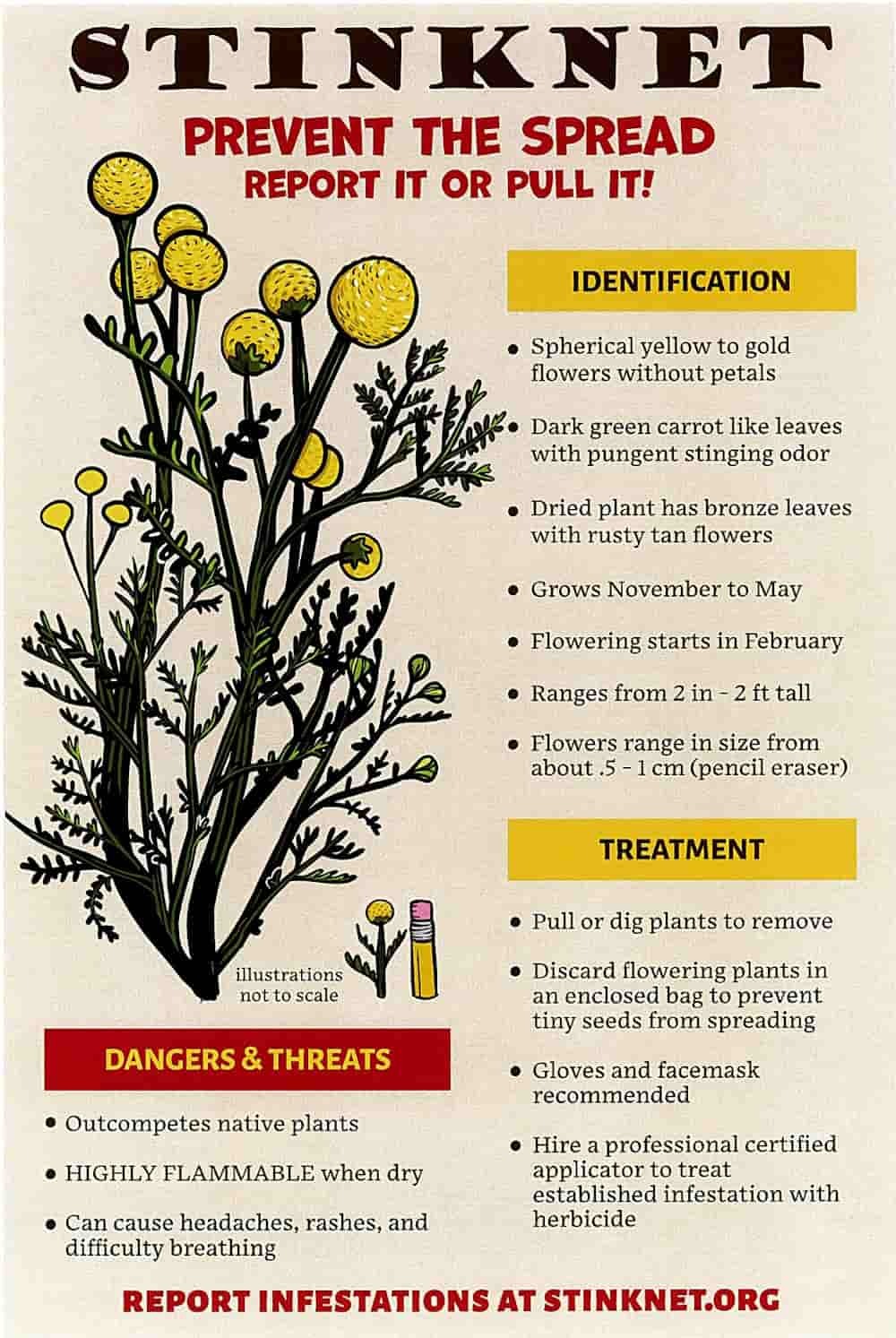 Prevent the Spread flyer
