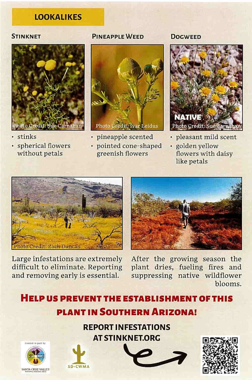 Stinknet Lookalikes flyer