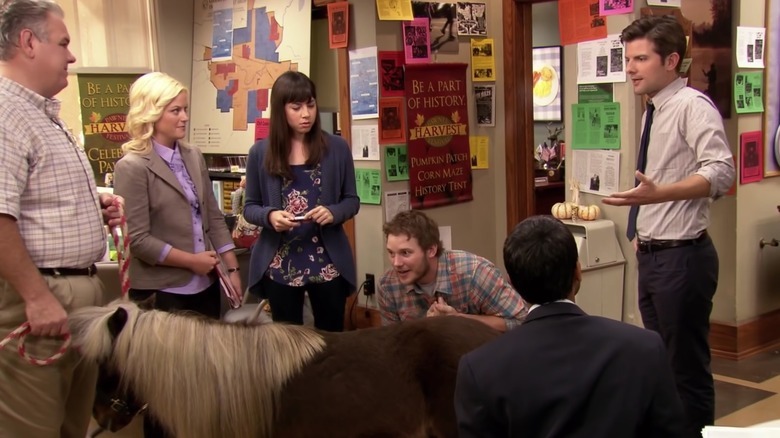 Image of pony in office.