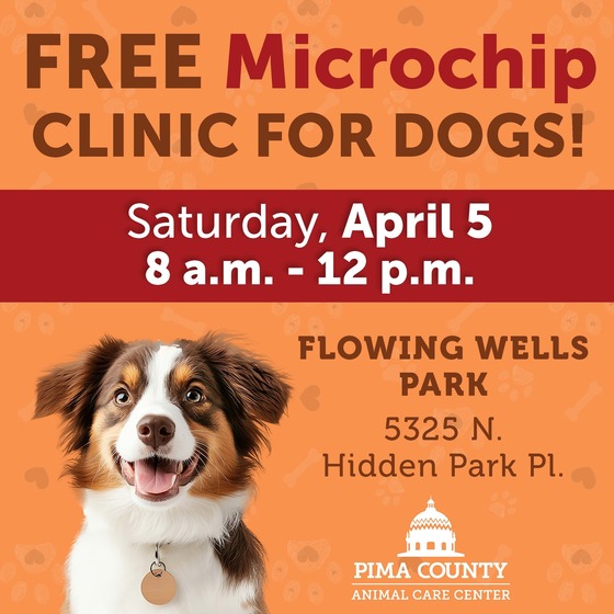 Graphic for Pima Animal Care Center free chip clinic