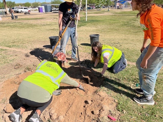 McCormick Tree Planting Picture