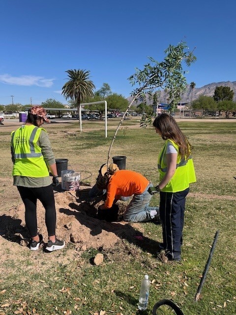 McCormick Tree Planting