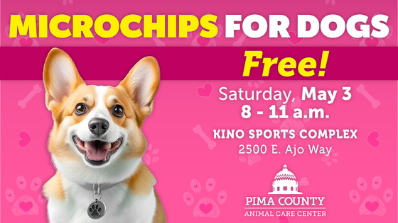 Graphic for free microchips for dogs
