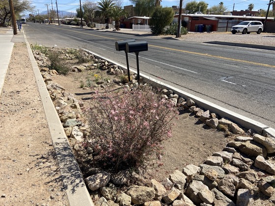 Photo of a Chicane on Glenn Street.