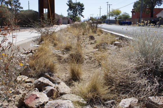 Photo ground close-up of a chicane on Glenn street.