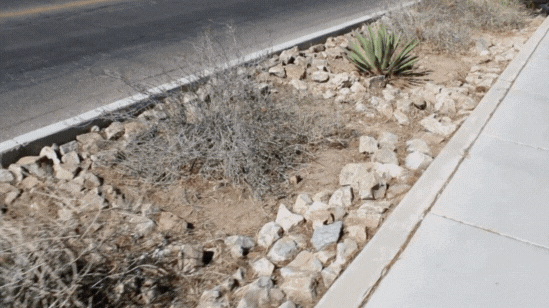 Glenn Street Chicane GIF 